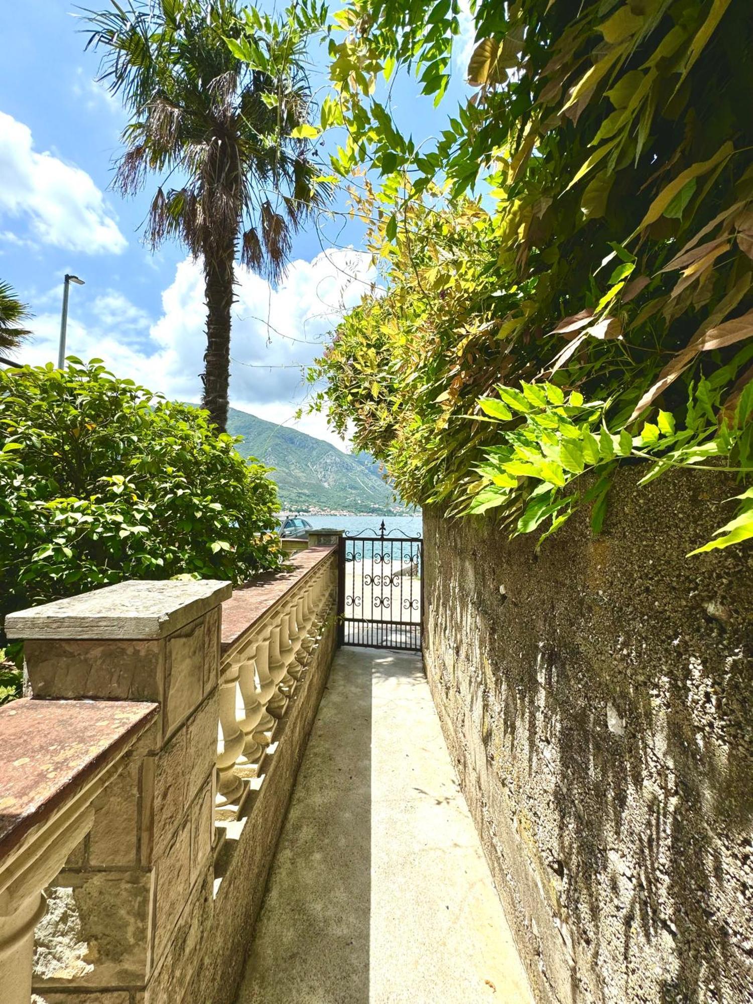 Apartment Little Oasis Dobrota Exterior foto