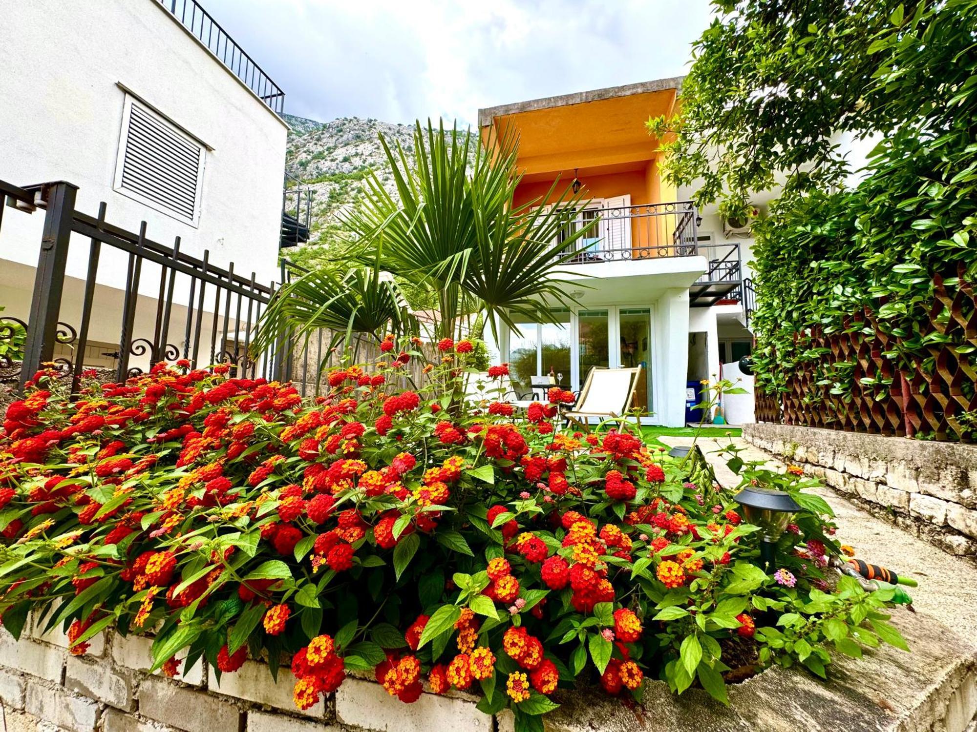 Apartment Little Oasis Dobrota Exterior foto
